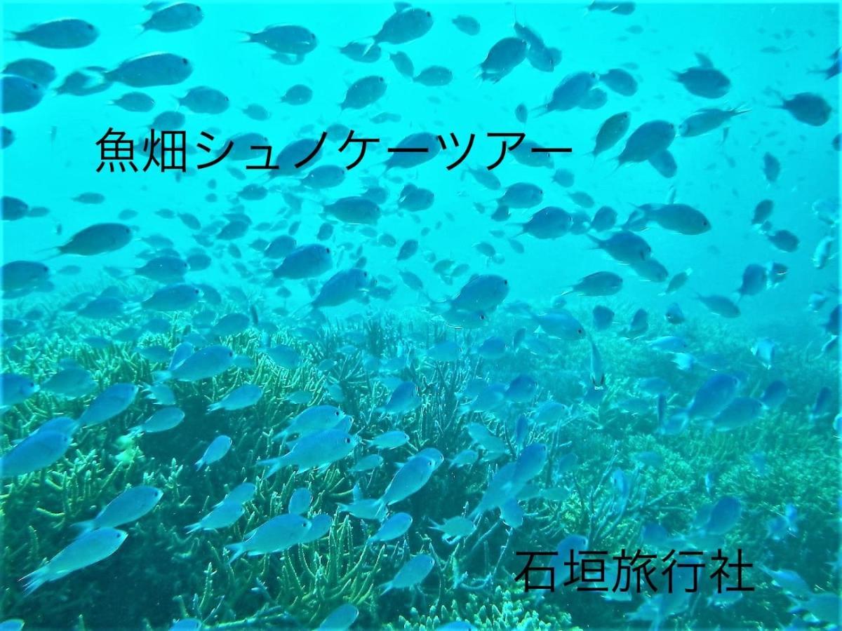 Villa ゆい屋 Ishigaki  Esterno foto